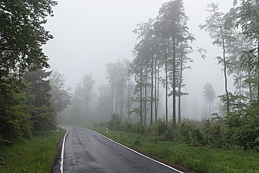 lo bach thu khung 3