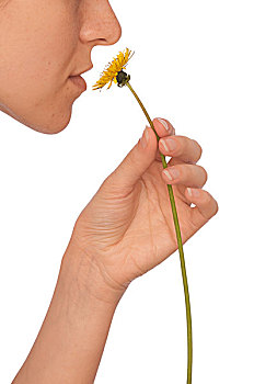 xổ số quảng ninh