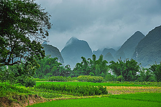 quay số thử hôm nay