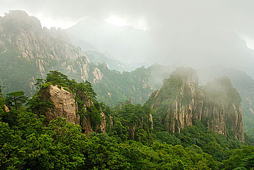 xs vinh long