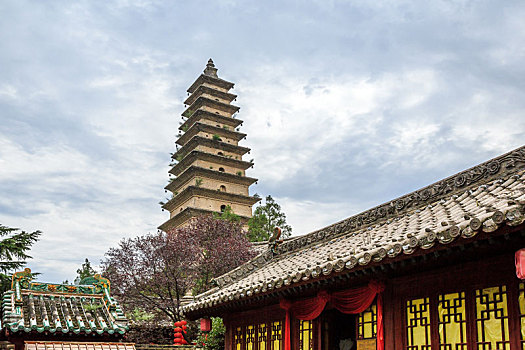 dự đoán xo so