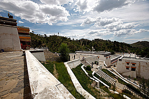 soi cau loto rong bach kim