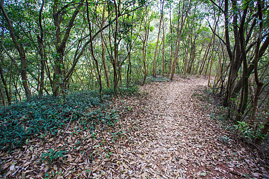 thống kê tần suất lô