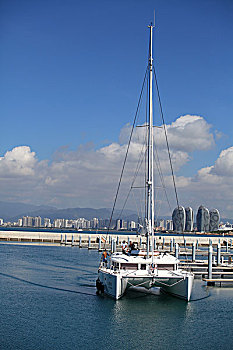 soi cau rong bach kim 88