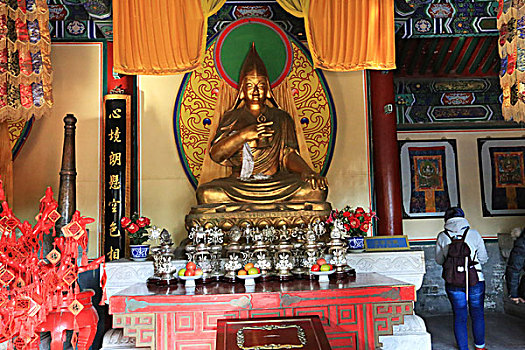 soicau mien nam