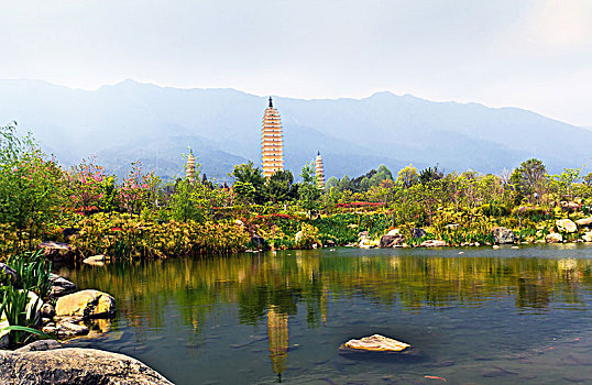 soi cầu lô 24
