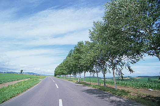 thống kê xổ số gia lai
