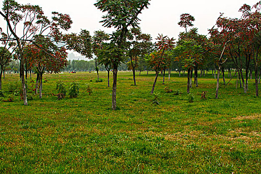 thống kê lô đề 100 ngày