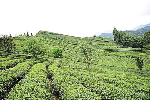 tham khảo xổ số miền nam