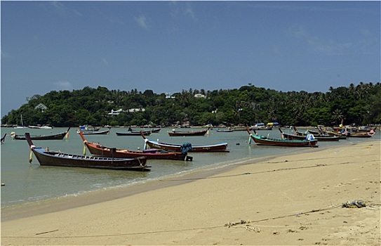 bach thu lo mien bac mien phi