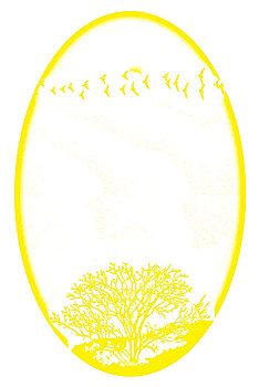 xổ số long an tuần rồi