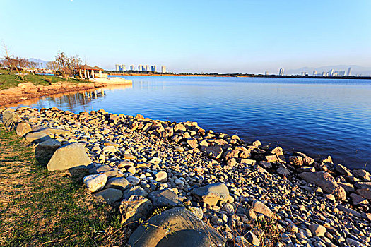 dự đoán