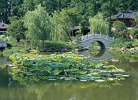 phân tích lô đề