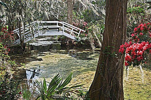lô thủ soi cầu