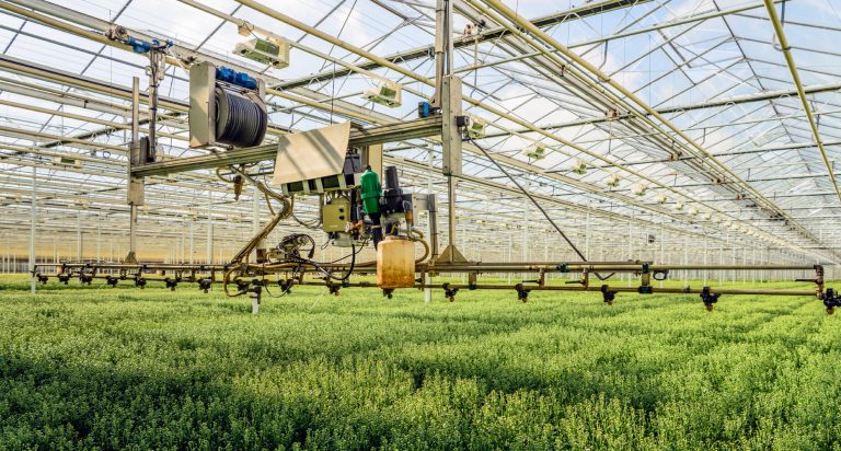 Sự phát triển của nền nông nghiệp Hà Lan