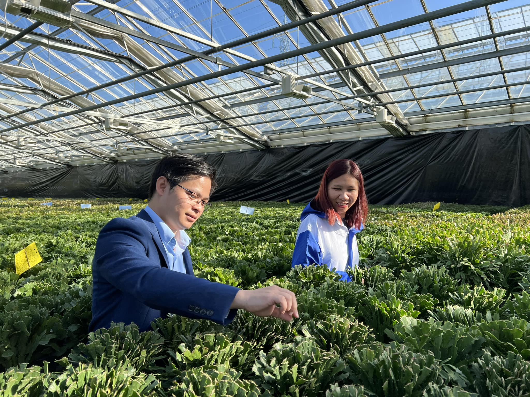 CAP-EDU Đan Mạch – Hành trình đáng nhớ trong 12 ngày