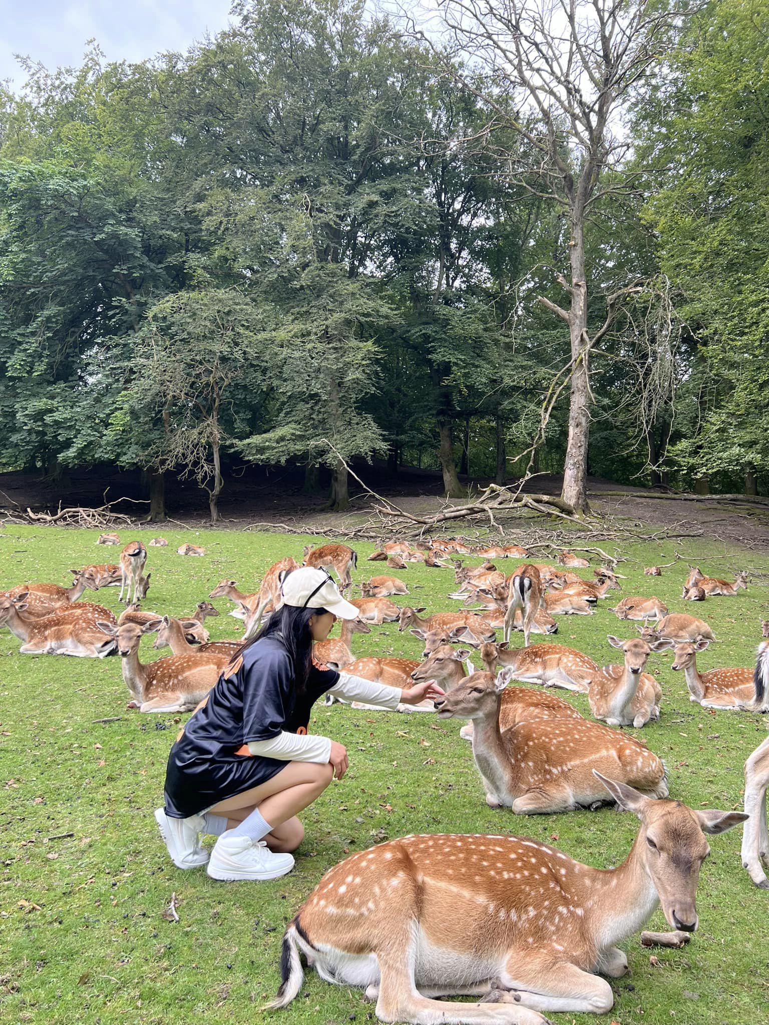 Chia sẻ của bạn Dương Thị Thanh – TTS Đan Mạch