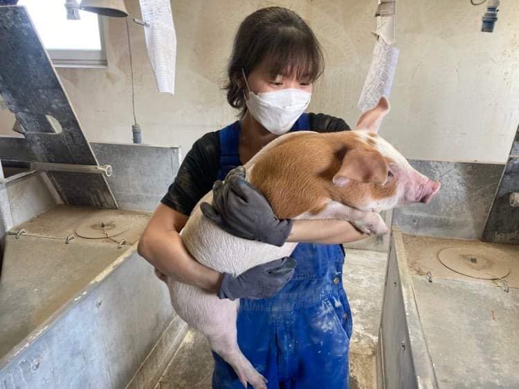 Hoàng Mùi Dấu (TTS Đan Mạch)