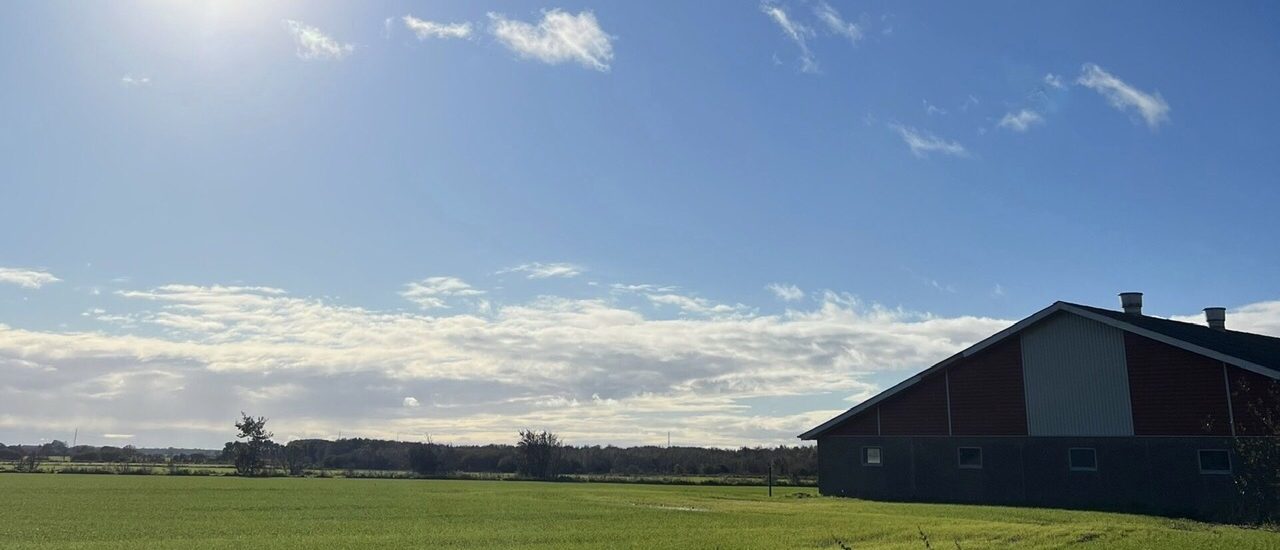 GÓC CHIA SẺ CỦA THỰC TẬP SINH TẠI ĐAN MẠCH